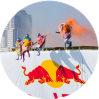 NordicSchool на Red Bull Flugtag